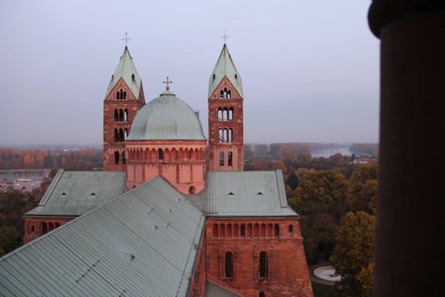 Blick auf das Domdach vo n der Besucherplattform auf dem Turm